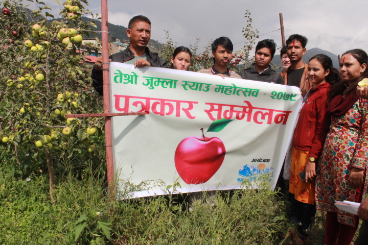 तेस्रो पटक जुम्लामा स्याउ महोत्सव हुदै