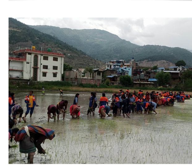 जुम्लाको धार्मिक इतिहाससँग जोडिएको चन्दनाथको शेराज्युलो विद्यार्थीहरुले राेपे