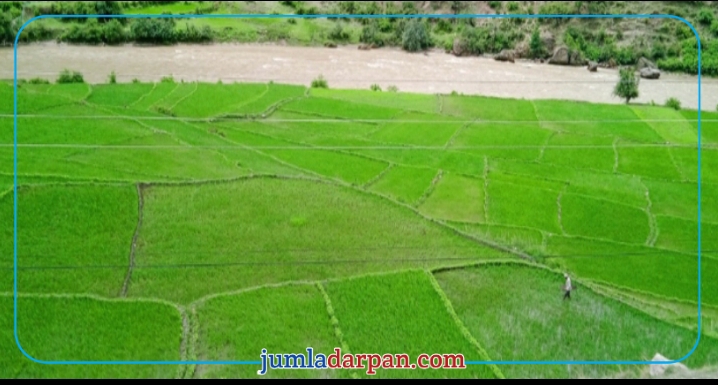 जुम्लामा हरियाली  मनमाेहक मार्सीफाट (फाेटाेफिचर)