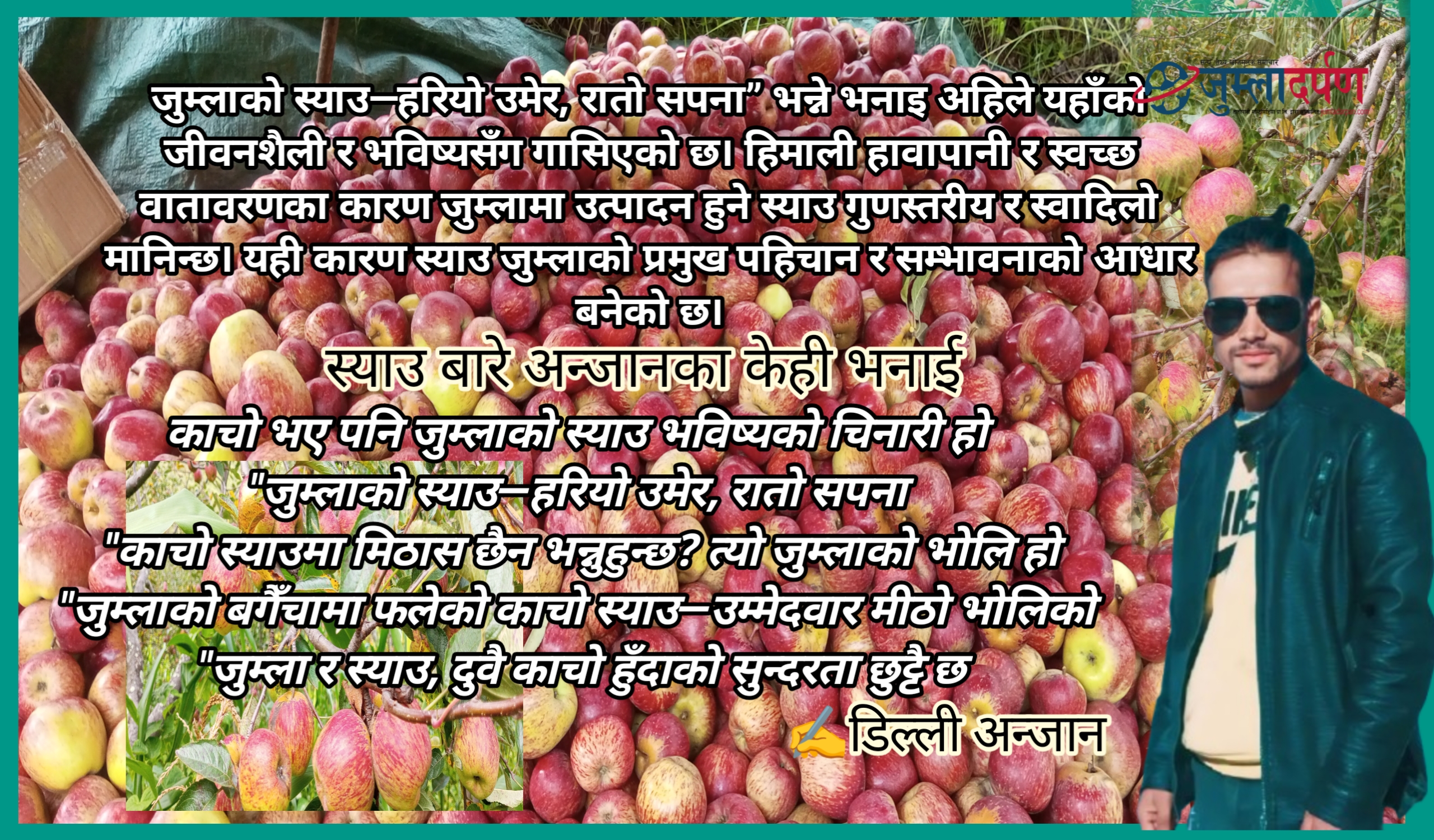 जुम्लाको स्याउ:-हरियो उमेर, रातो सपना